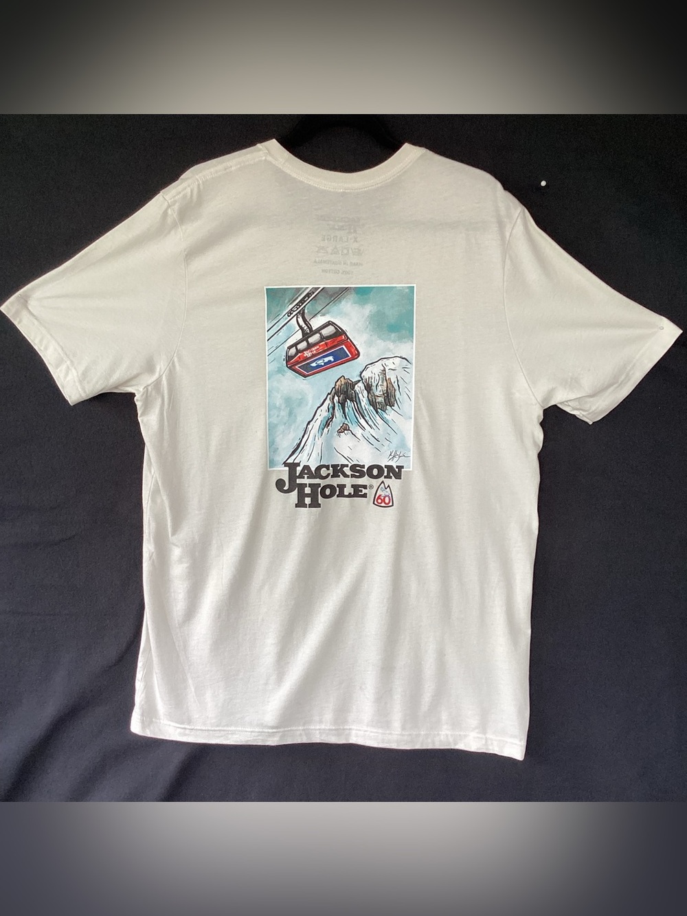 Jackson hole Wyoming skiing t shirt